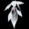 Angel Fish